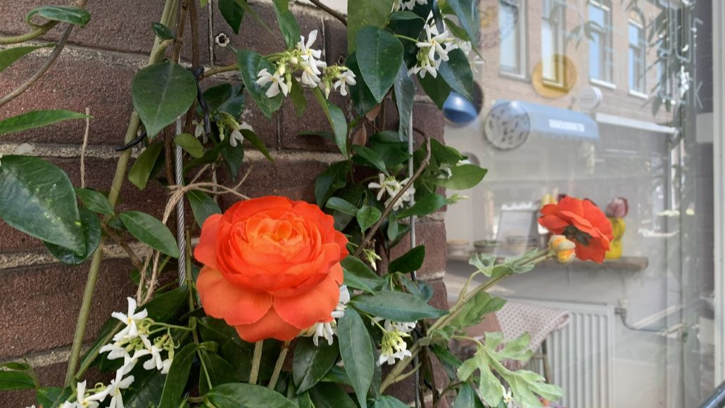 winkel van glazuur aardewerk, Jacobijnestraat in Haarlem