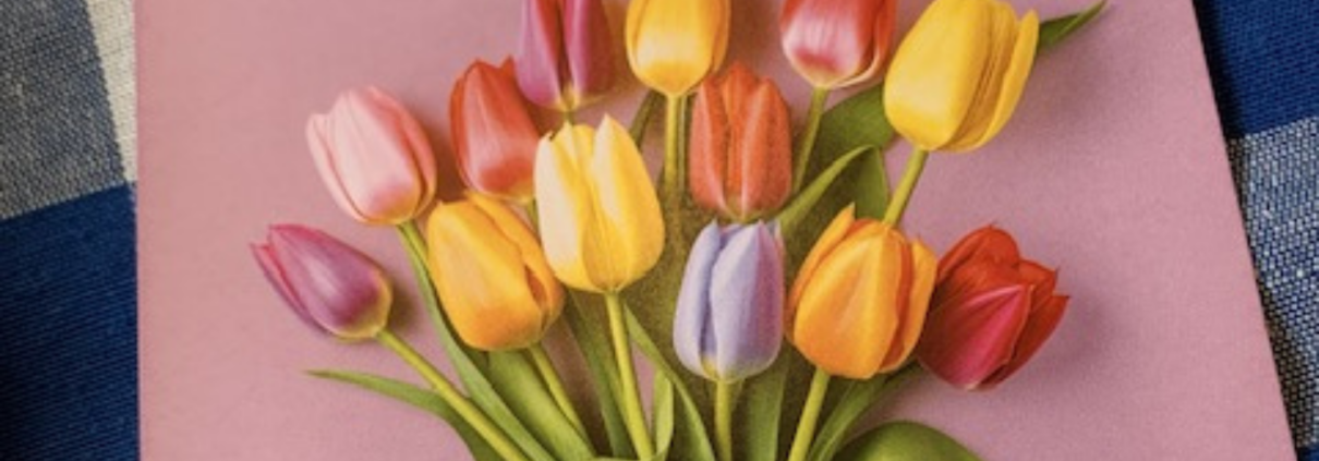 Tulpenpluktuin op zondag 29 maart