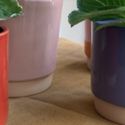 kleine potjes, grote potjes